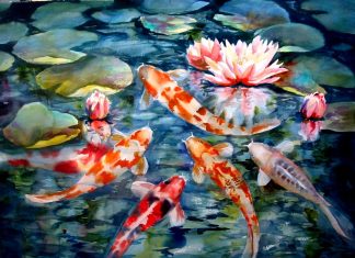 Koi Fish HD Wallpaper Free download.