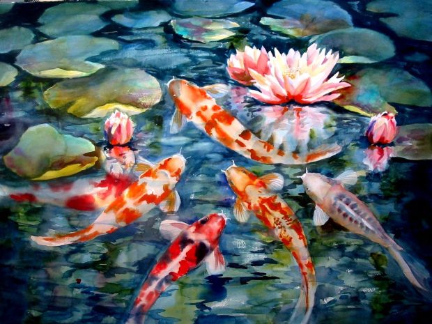 Koi Fish HD Wallpaper Free download.