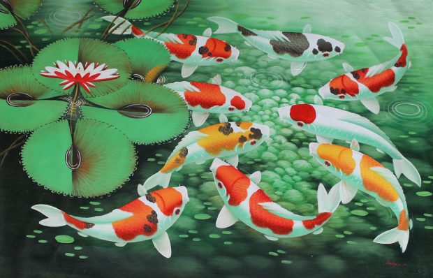 Koi Fish Wide Screen Wallpaper.