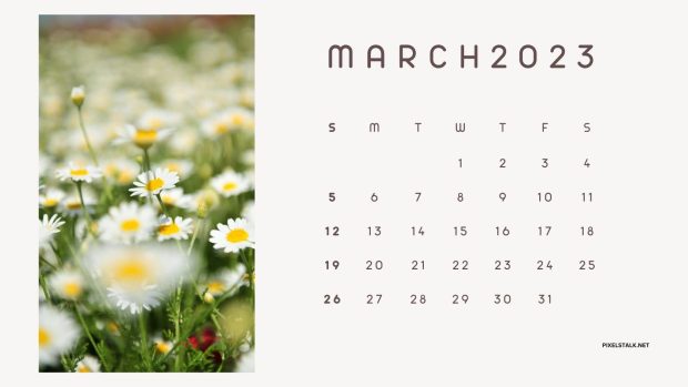 March 2023 Calendar Background Free Download.