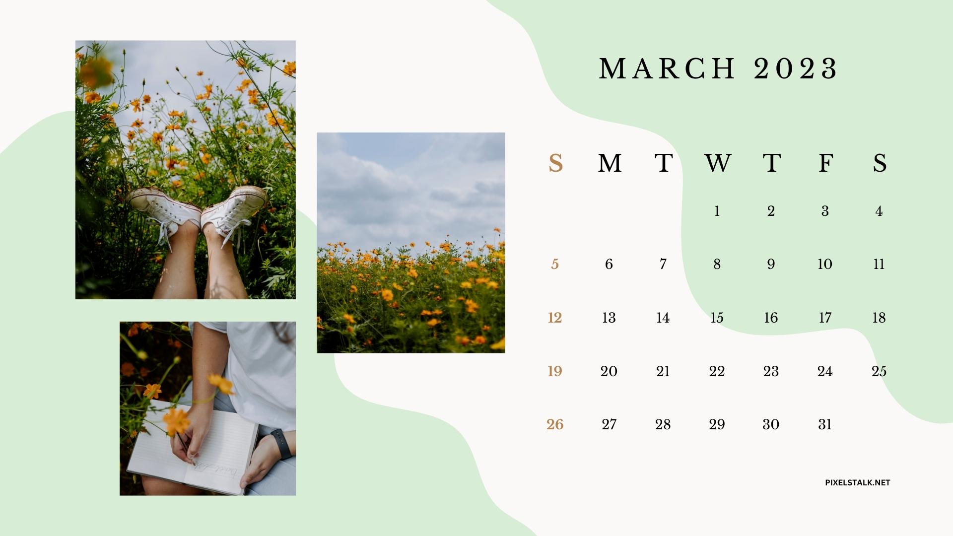 Aesthetic Calendar March 2023 Wallpapers Background Wallpaper Image For  Free Download  Pngtree