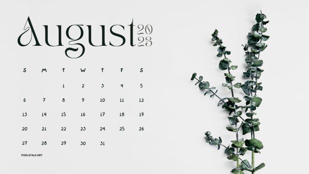 Minimalist August 2023 Calendar Backgrounds.