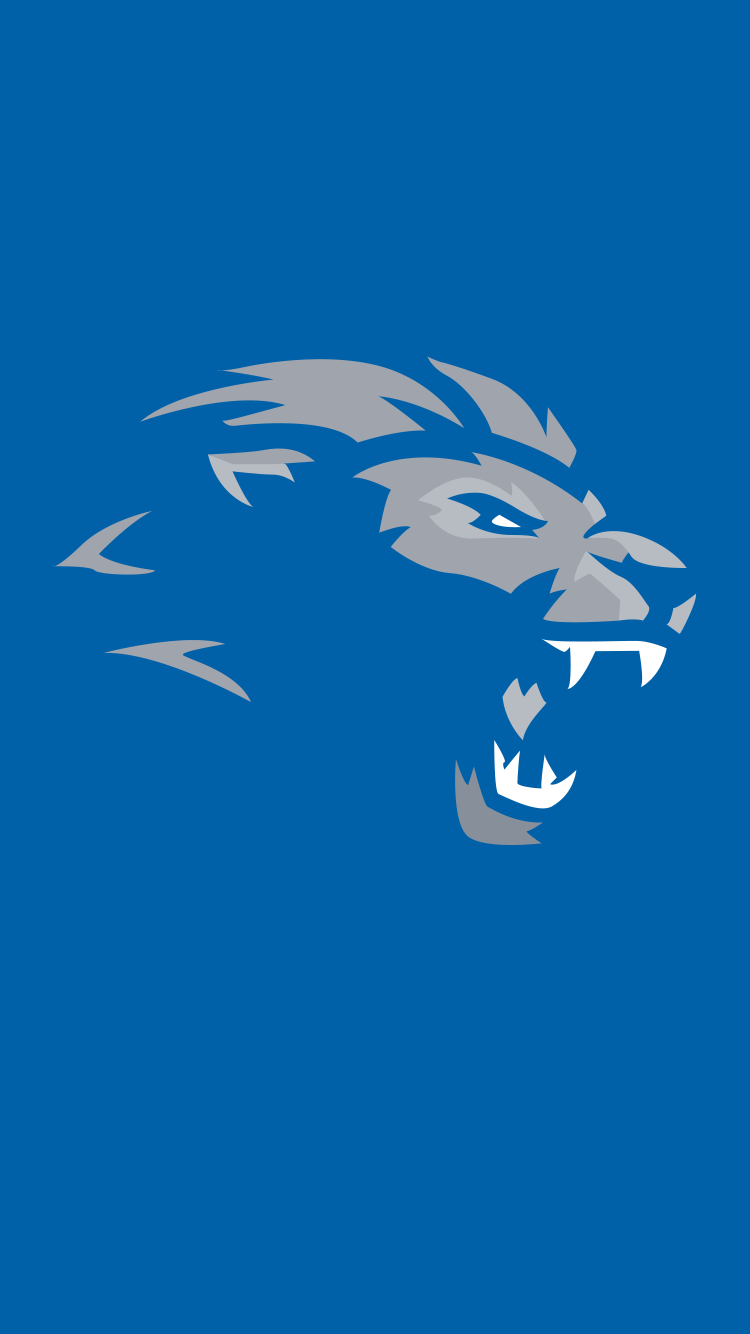 Detroit Lions  Check out our 2022 schedule  Which games will we see  you at  Facebook