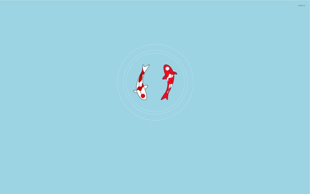 Minimalist Koi Fish Wallpaper HD.