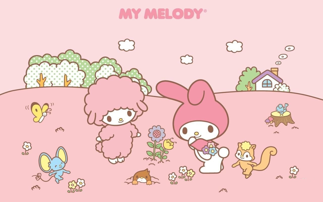 200 My Melody Wallpapers  Wallpaperscom