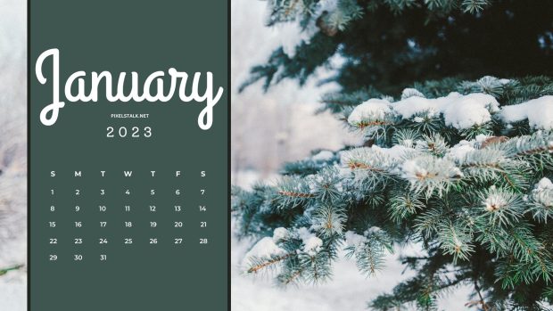 New January Calendar 2023 Background.