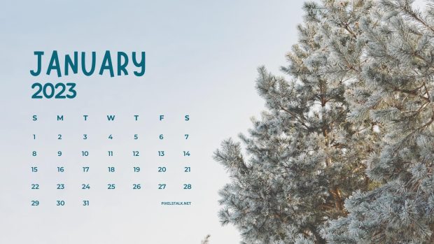 New January Calendar 2023 Background.