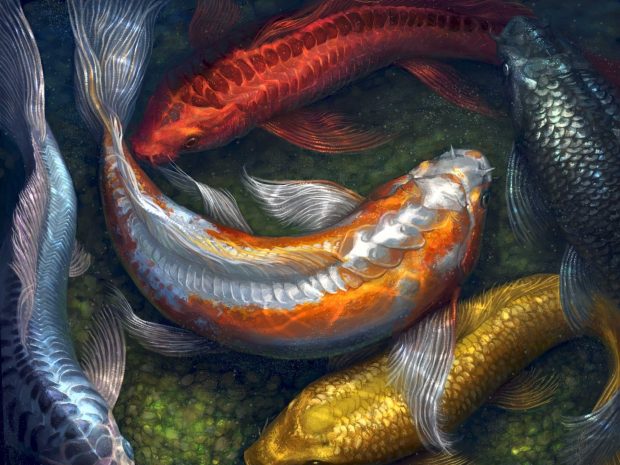 Oil Painting Koi Fish Wallpaper HD.