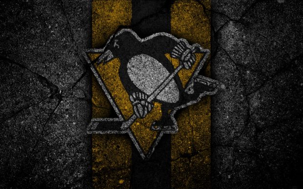 Pittsburgh Penguins 4K Wallpaper HD.