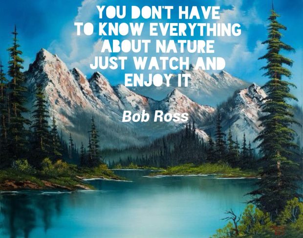 Quote Bob Ross Wallpaper HD.