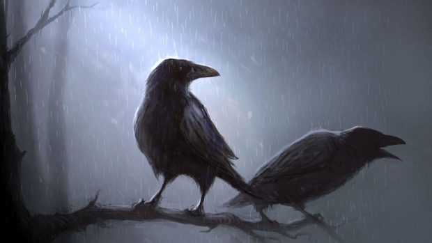 Raven Wallpaper Desktop.