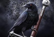 Raven Wallpaper Free Download.