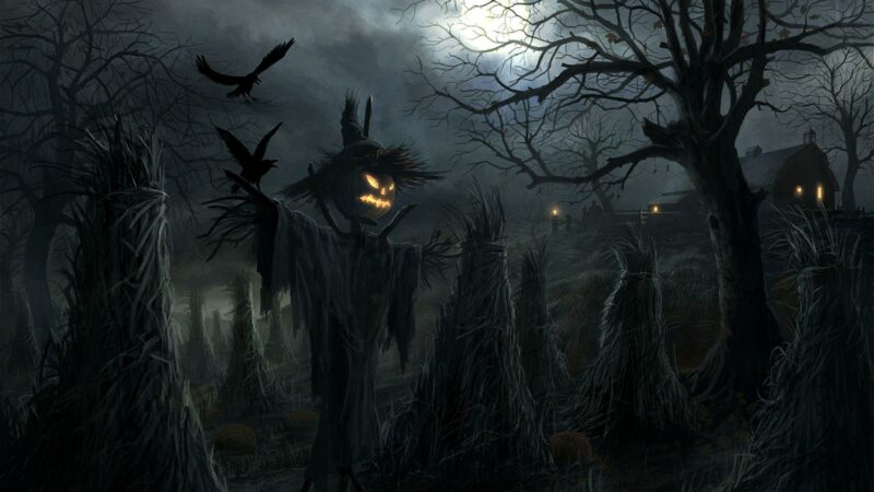 Raven HD Wallpapers - PixelsTalk