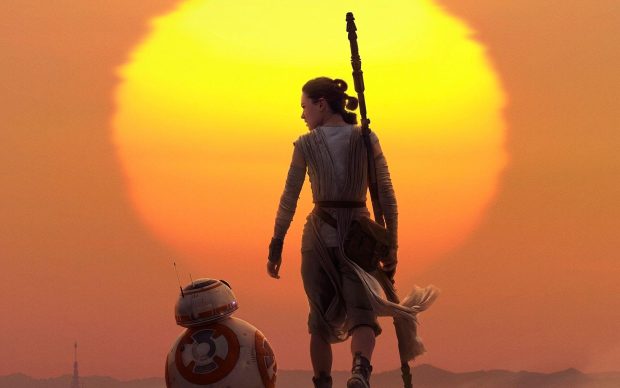 Rey HD Wallpaper Computer.