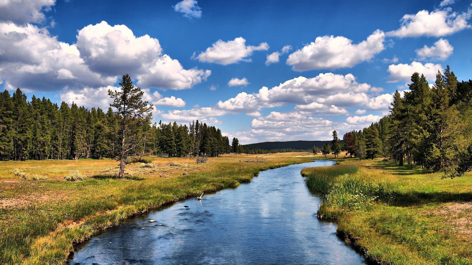 red river 1080p download