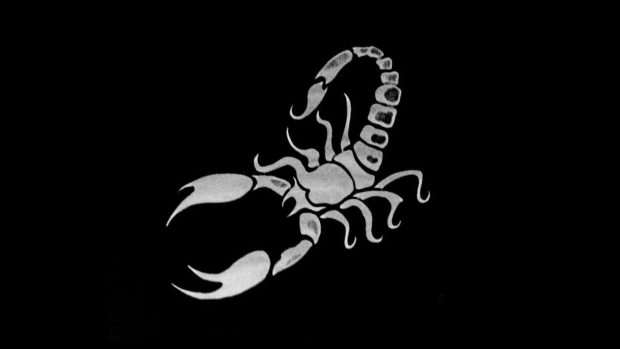 Scorpio HD Wallpaper Free download.