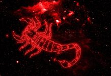 Scorpio Wallpaper HD Free download.