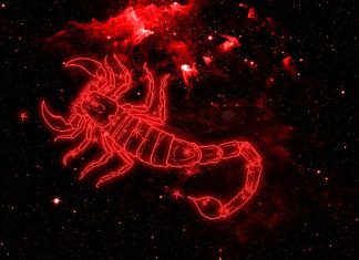 Scorpio Wallpaper HD Free download.