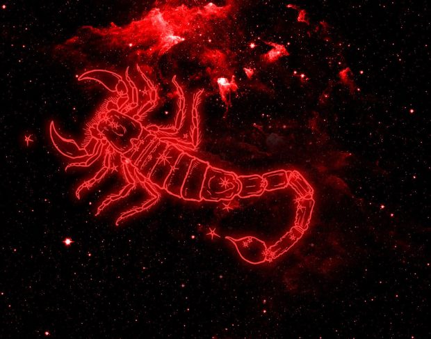 Scorpio Wallpaper HD Free download.