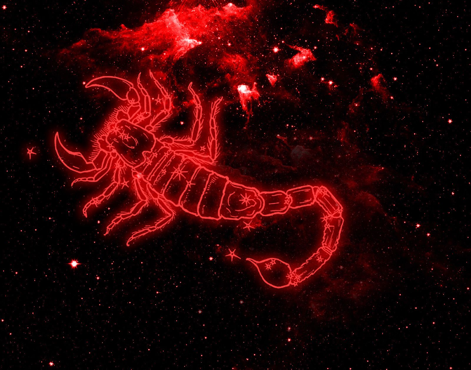 Scorpio Wallpaper - NawPic