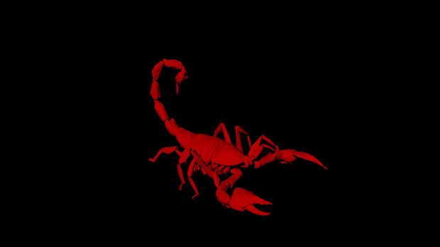 Scorpio Wide Screen Wallpaper HD.