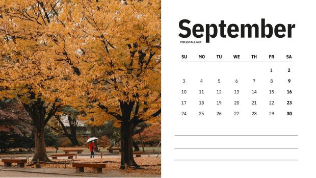 September 2023 Calendar Backgrounds HD Free download.