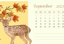 September 2023 Calendar HD Wallpaper Free download.