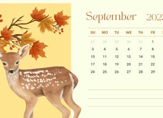 September 2023 Calendar HD Wallpaper Free download.