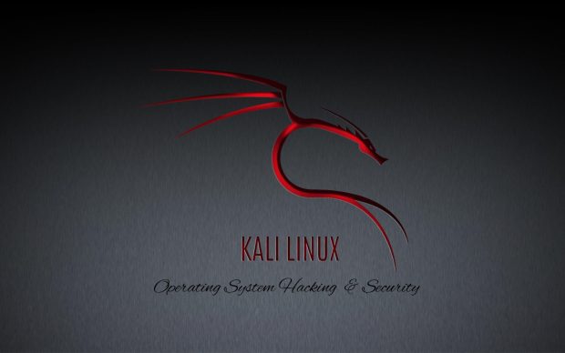 The best Kali Linux Wallpaper HD.