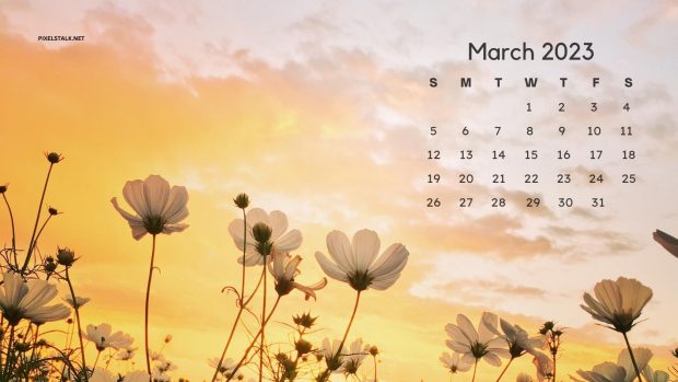 The best March 2023 Calendar Wallpaper HD.