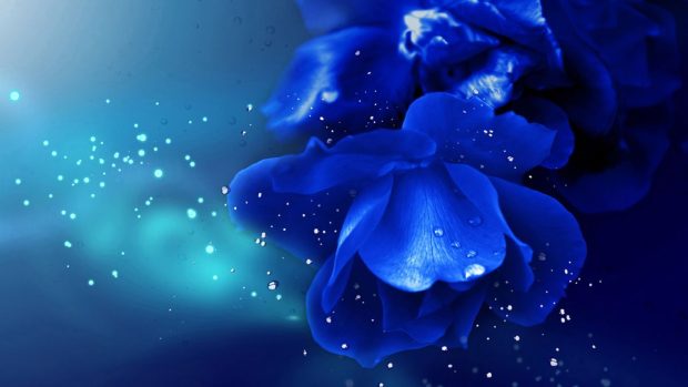 The latest Blue Flower Wallpaper.