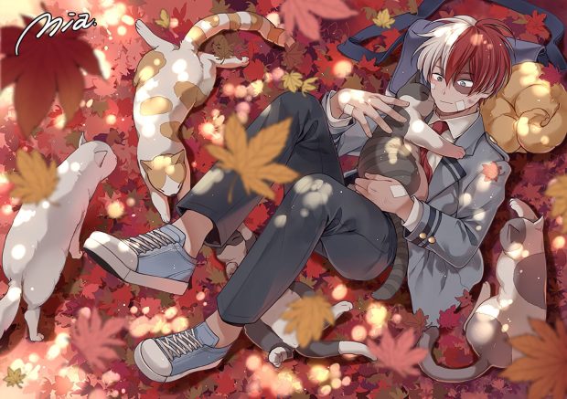 The latest Shoto Todoroki Background.