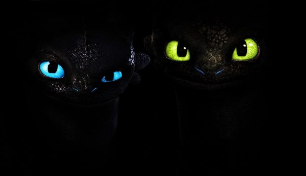 The latest Toothless Background.