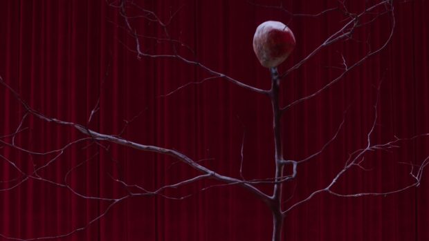 Twin Peaks Pictures Free Download.