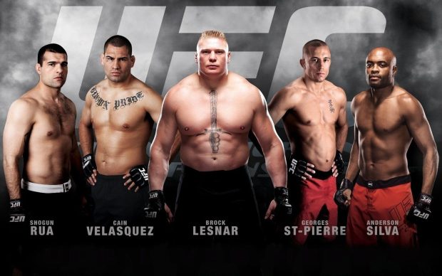 UFC Wide Screen Wallpaper HD.