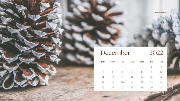 Winter December 2022 Calendar Wallpaper HD.