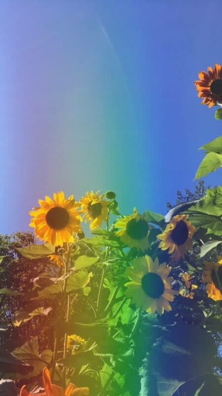 Aesthetic Spring Wallpapers - PixelsTalk
