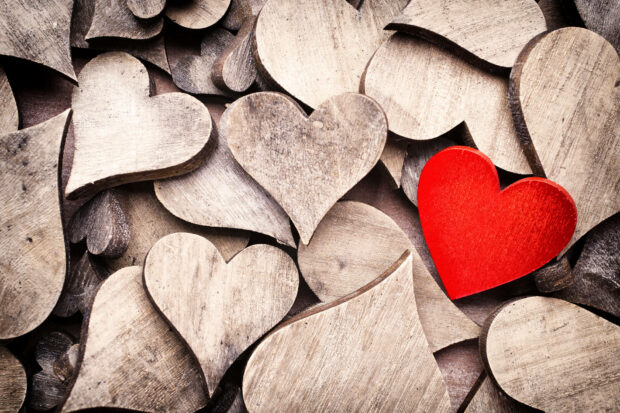 Aesthetic Heart Wooden Wallpaper.