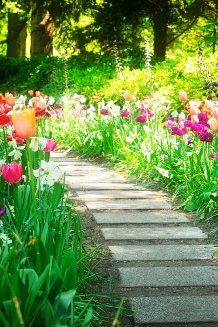 Aesthetic Spring Wallpapers - PixelsTalk