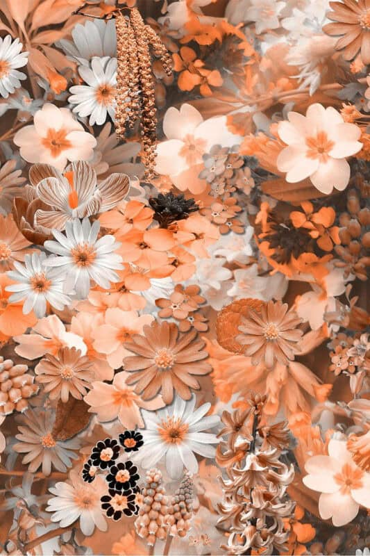Aesthetic Spring Wallpapers - PixelsTalk