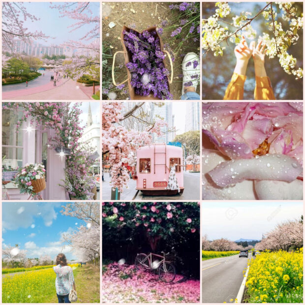 Beautiful Aesthetic Spring Iphone Lock Screen Wallpaper.