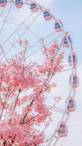 Beautiful Aesthetic Spring Wallpaper.
