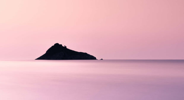 Calm Pink Free Download Desktop HD Wallpaper Computer.