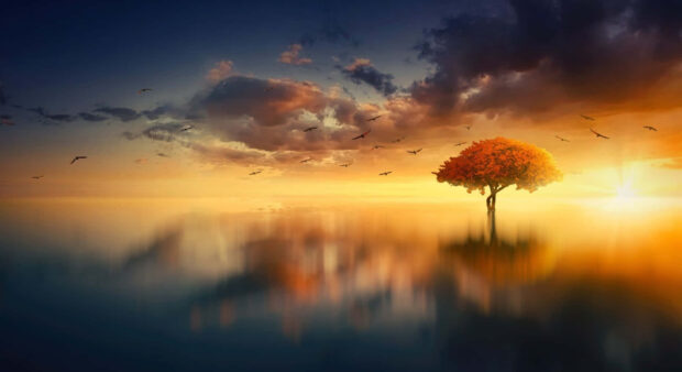 Calm Sunrise Free Download Desktop Wallpaper for  Mac.