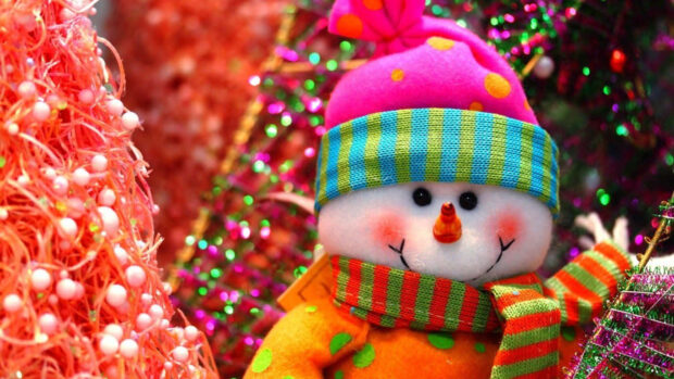 Christmas Colorful Winter Clothes  Snowman Background.