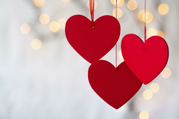 Cute Valentines Day Desktop Wallpaper Free Download.