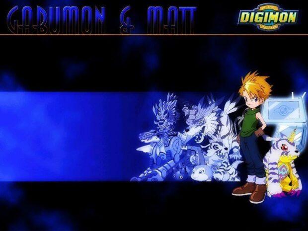 Digimon Wallpaper HD Wallpaper.