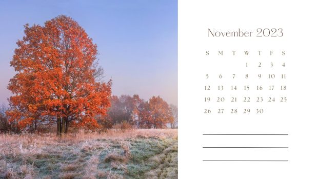 Download Free November 2023 Calendar Background.