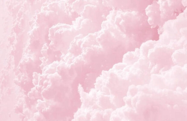 Free Download Pink Backgrounds for Windows.