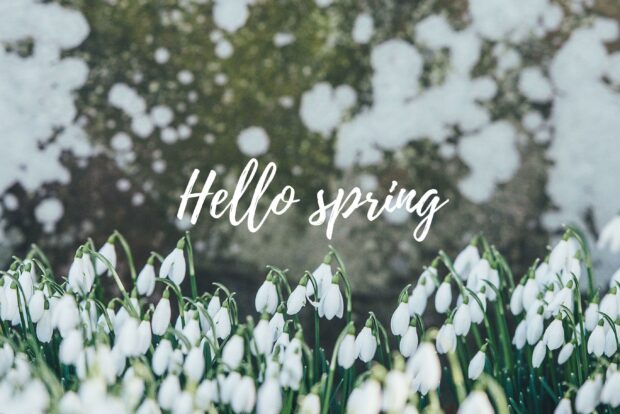 Free Spring Desktop Aesthetic Image.